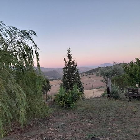 Agriturismo La Stragola Никозия Екстериор снимка