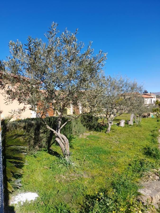 Agriturismo La Stragola Никозия Екстериор снимка