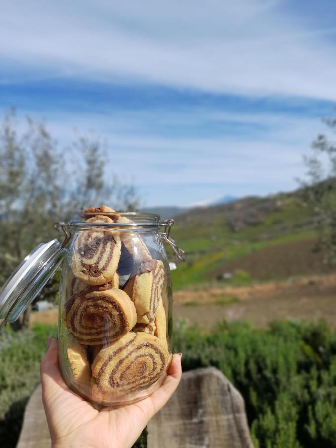 Agriturismo La Stragola Никозия Екстериор снимка