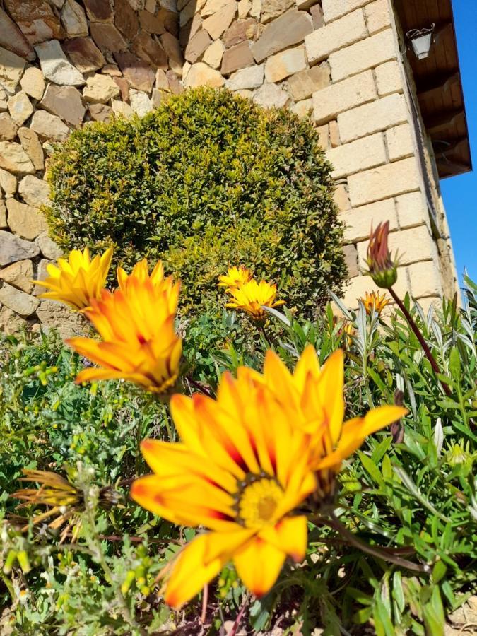 Agriturismo La Stragola Никозия Екстериор снимка