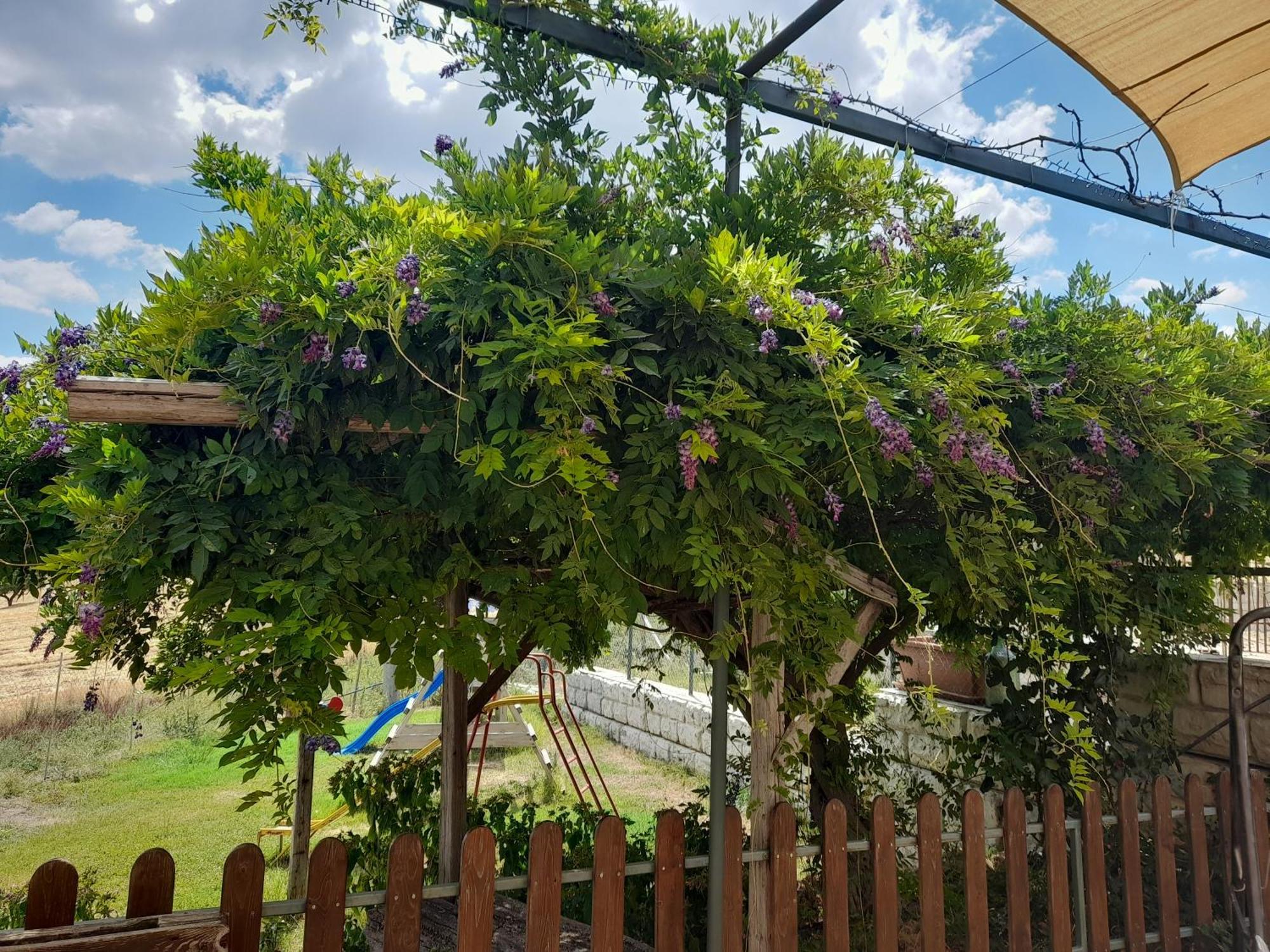 Agriturismo La Stragola Никозия Екстериор снимка